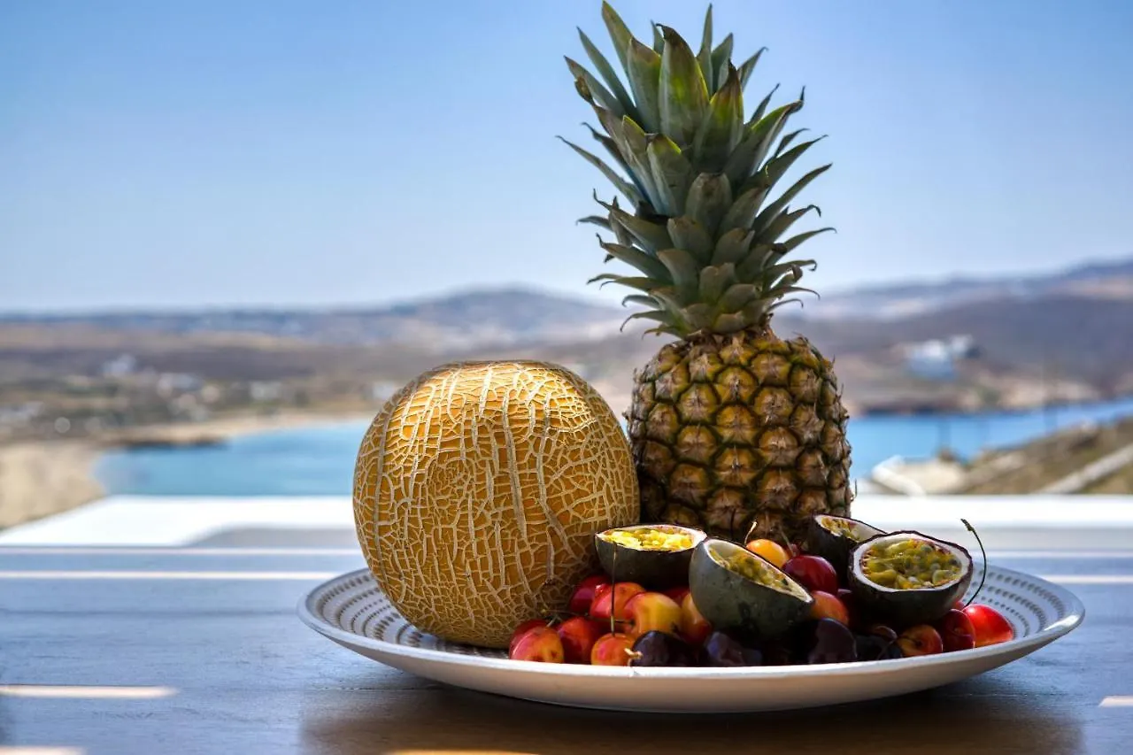Nefeli Residence&Suite Ftelia beach Mykonos Dom wakacyjny